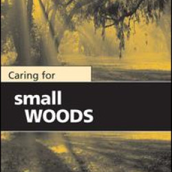Caring for Small Woods Caring for Small Woods