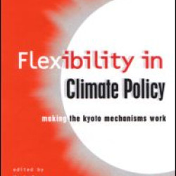 Flexibility in Global Climate Policy Flexibility in Global Climate Policy
