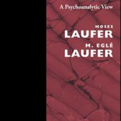 Adolescence and Developmental Breakdown