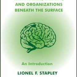 Individuals, Groups and Organizations Beneath the Surface