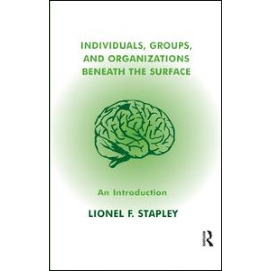 Individuals, Groups and Organizations Beneath the Surface Individuals, Groups and Organizations Beneath the Surface