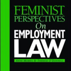 Feminist Perspectives on Employment Law Feminist Perspectives on Employment Law