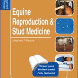 Equine Reproduction & Stud Medicine Equine Reproduction & Stud Medicine