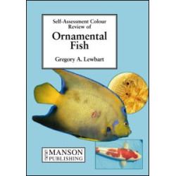 Ornamental Fish Ornamental Fish