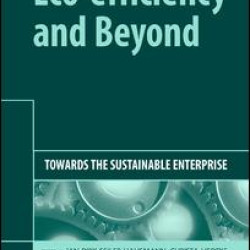 Eco-efficiency and Beyond Eco-efficiency and Beyond