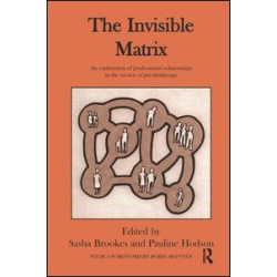 The Invisible Matrix The Invisible Matrix