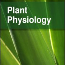 Plant Physiology Plant Physiology