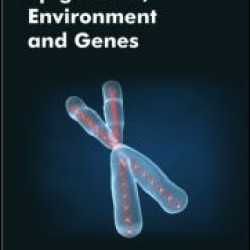 Epigenetics, Environment, and Genes Epigenetics, Environment, and Genes