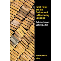 Small Firms and the Environment in Developing Countries Small Firms and the Environment in Developing Countries