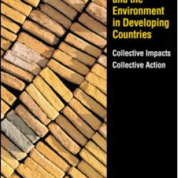 Small Firms and the Environment in Developing Countries