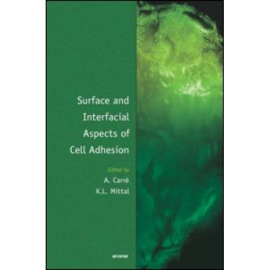 Surface and Interfacial Aspects of Cell Adhesion