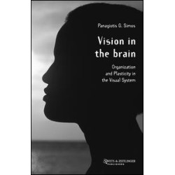 Vision in the Brain Vision in the Brain