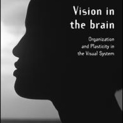 Vision in the Brain Vision in the Brain