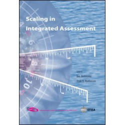 Scaling in Integrated Assessment Scaling in Integrated Assessment