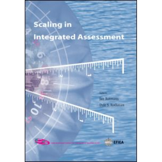 Scaling in Integrated Assessment