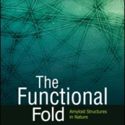 The Functional Fold