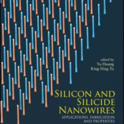 Silicon and Silicide Nanowires Silicon and Silicide Nanowires