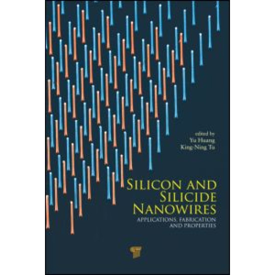 Silicon and Silicide Nanowires Silicon and Silicide Nanowires