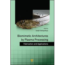 Biomimetic Architectures by Plasma Processing