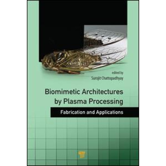 Biomimetic Architectures by Plasma Processing