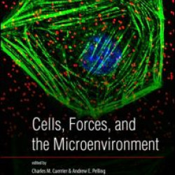 Cells, Forces, and the Microenvironment