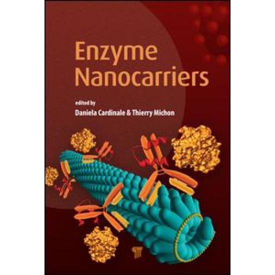 Enzyme Nanocarriers