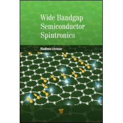 Wide Bandgap Semiconductor Spintronics