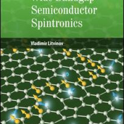 Wide Bandgap Semiconductor Spintronics