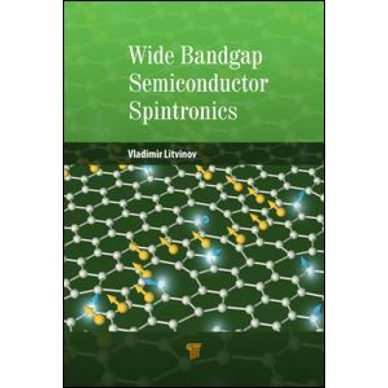 Wide Bandgap Semiconductor Spintronics