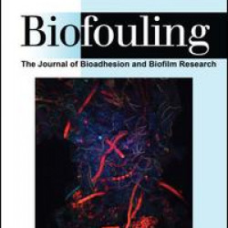 Biofouling: The Journal of Bioadhesion and Biofilm Research Biofouling: The Journal of Bioadhesion and Biofilm Research