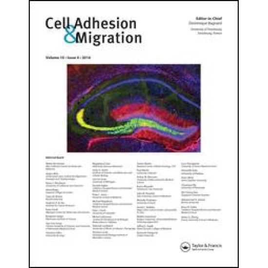 Cell Adhesion & Migration
