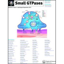 Small GTPases