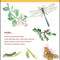 Bereavement Care Bereavement Care