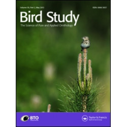 Bird Study Bird Study