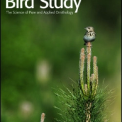 Bird Study Bird Study