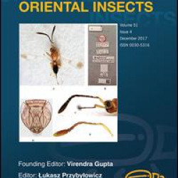 Oriental Insects Oriental Insects