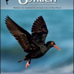 Ostrich - Journal of African Ornithology Ostrich - Journal of African Ornithology