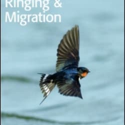 Ringing & Migration Ringing & Migration