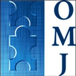Organization Management Journal Organization Management Journal