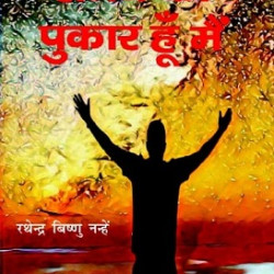 समय की पुकार हूँ मैं